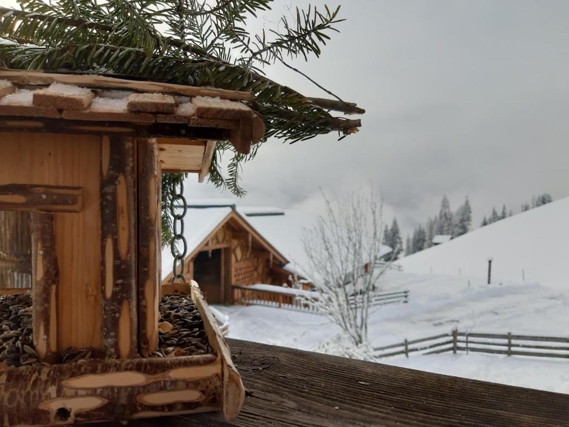 Willa Bio Alpenhof Rostatt Bischofshofen Zewnętrze zdjęcie
