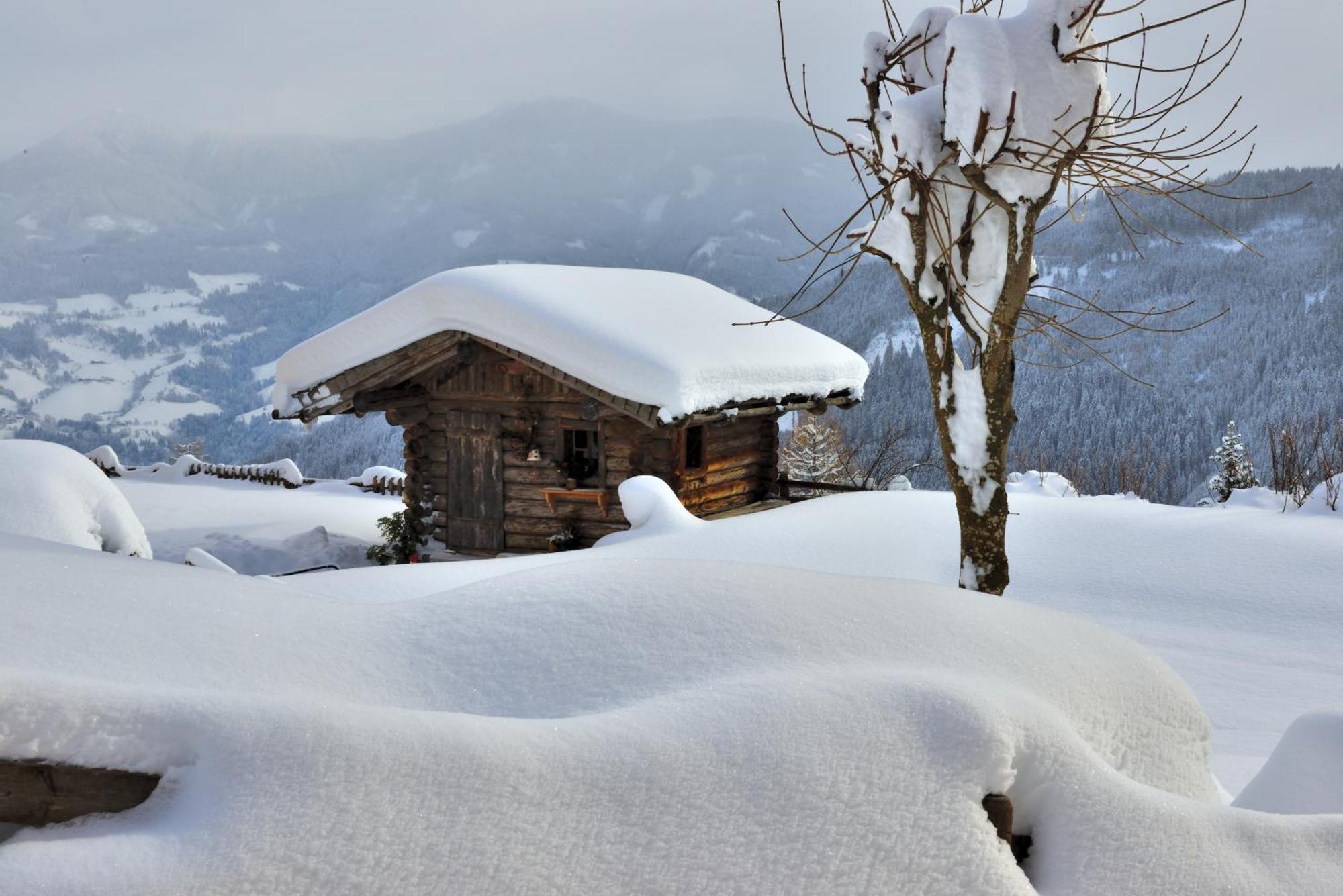 Willa Bio Alpenhof Rostatt Bischofshofen Zewnętrze zdjęcie
